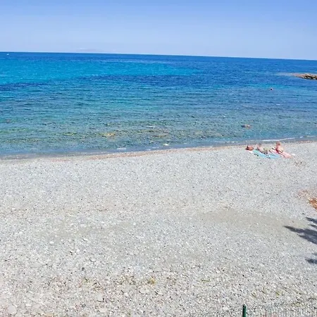 Bord De Vue * Brando